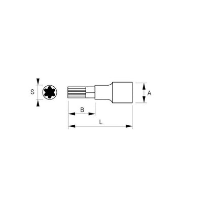 Dado Punta Torx IRIMO 1/2'' T50 60mm Acero Cromado - Herram.cl