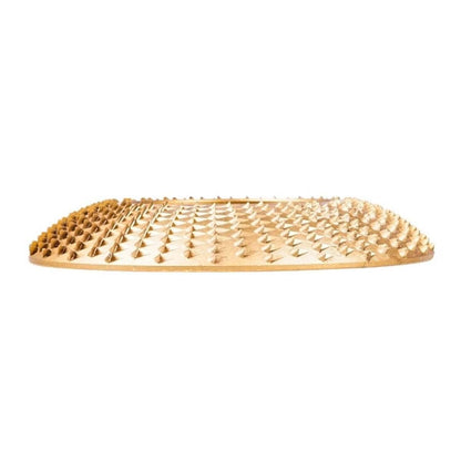 Disco Escofina para Madera 100x22,23mm - HEMIC - Herram.cl